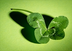 <p><em>蕎麦</em>は引っ越し蕎麦や年越し蕎麦、雛蕎麦など一年の行事や節目に食べられます。様々な行事や節目に蕎麦が食されるのには、いくつかの由来がございます。</p>
<p>古来より蕎麦が縁起物として扱われる理由は、蕎麦がうどんなどと比較しても非常に切れやすいことから厄災との縁を断ち切るという意味合いや、長く伸びる蕎麦にあやかって延命長寿を願う意味合いなどが込められているからです。</p>
<p>また月の最後の日を「晦日（みそか）」といい、上述した意味合いから晦日に蕎麦が食されていました。年の最後「大晦日」に一年の締めくくりとして年越し蕎麦を食すようになったのは、この名残だとも考えられています。蕎麦は餅と並んで、年末には欠かせない食べ物となっており、年末の風物詩とも言える食材です。</p>